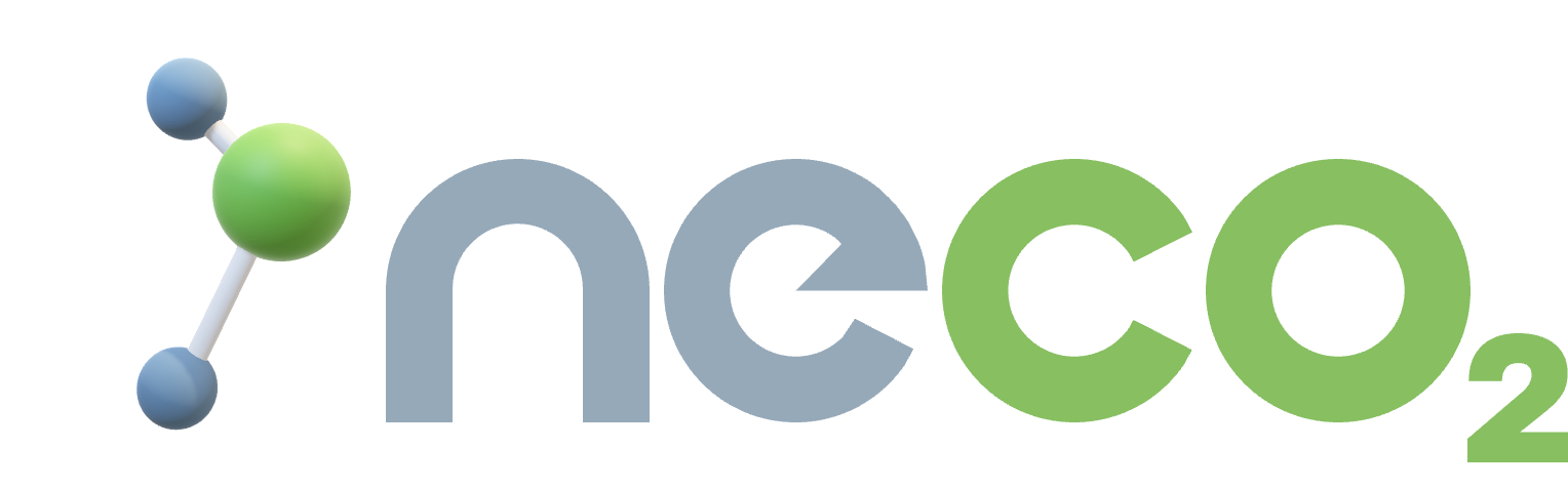 NECO2 Logo